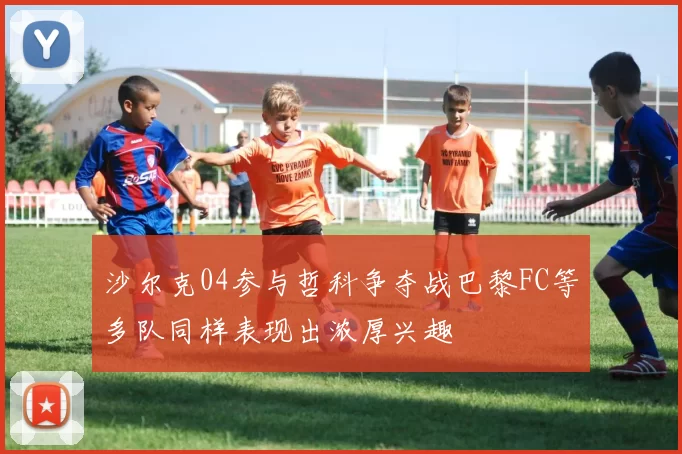 沙尔克04参与哲科争夺战巴黎FC等多队同样表现出浓厚兴趣